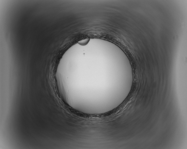 X0000100321297200806051341