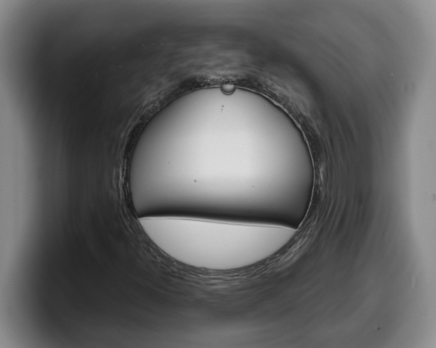 X0000100321300200806051341