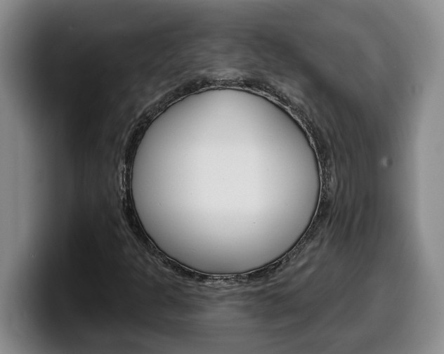 X0000100321301200806051341
