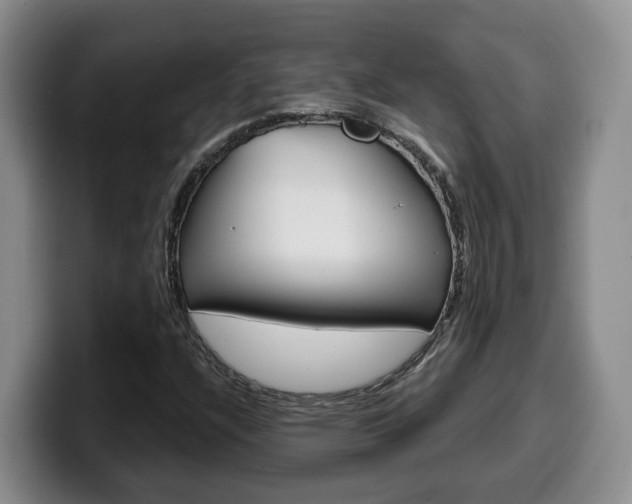 X0000100321304200806051341