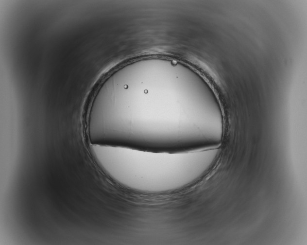 X0000100321308200806051341