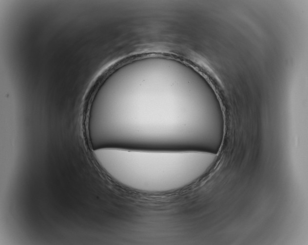 X0000100321312200806051341