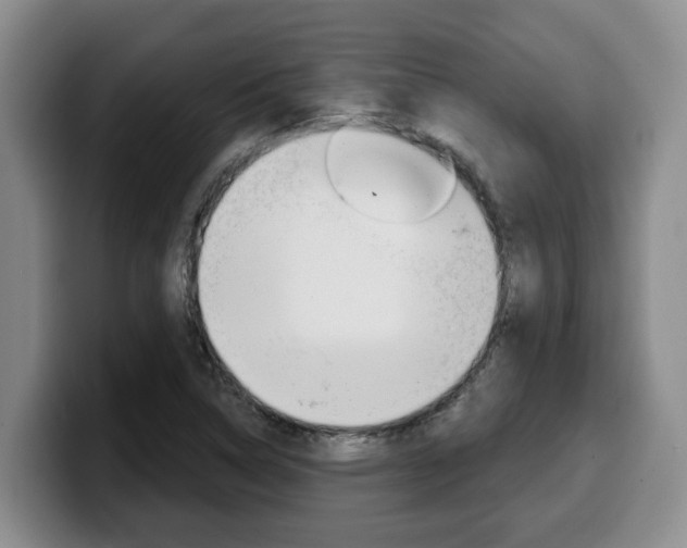 X0000100321314200806051341