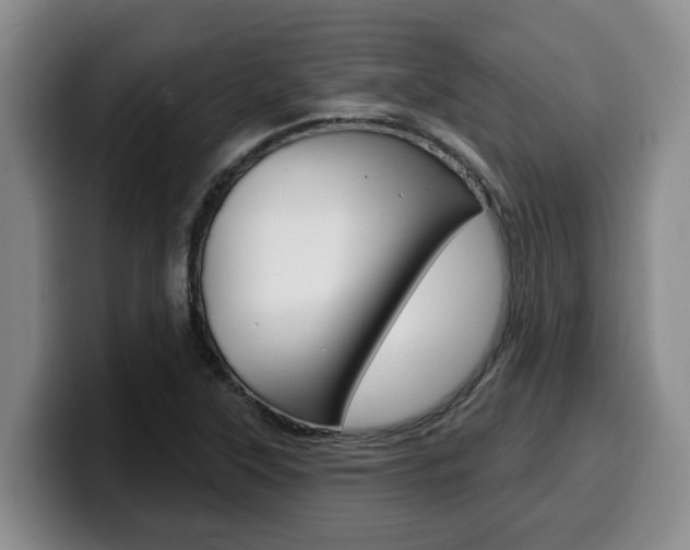 X0000100321315200806051341