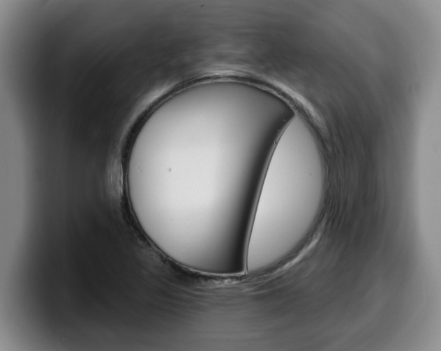 X0000100321317200806051341