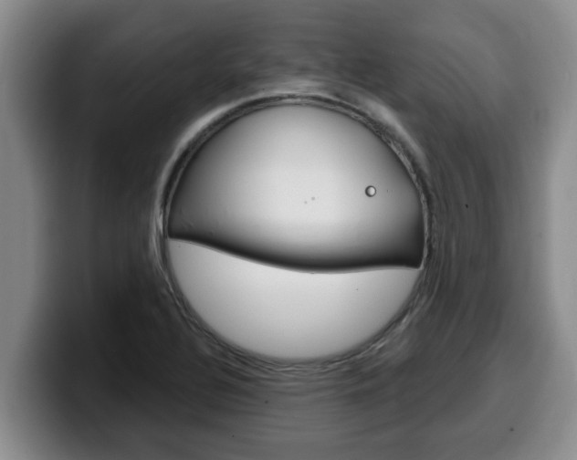 X0000100321320200806051341