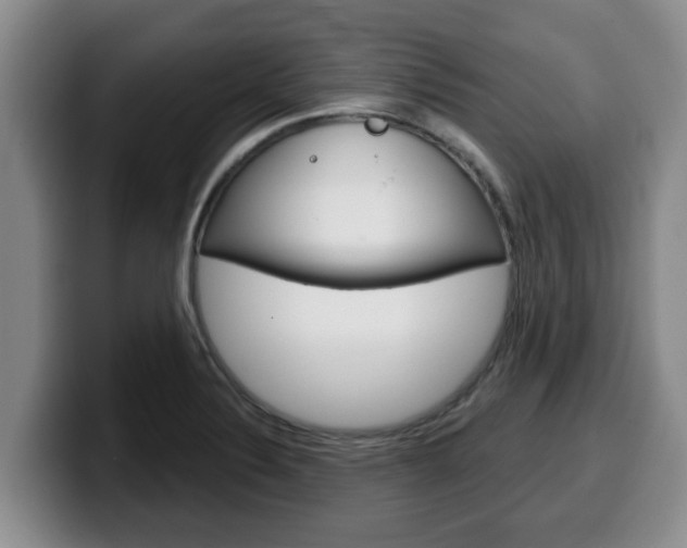 X0000100321324200806051342