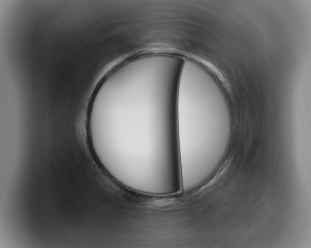 X0000100321325200806051342