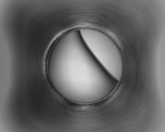 X0000100321326200806051342