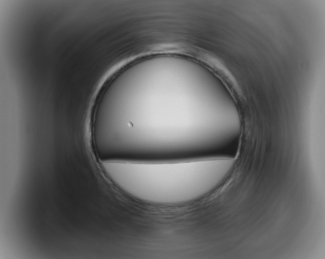 X0000100321328200806051342