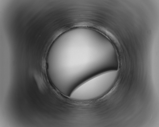 X0000100321329200806051342