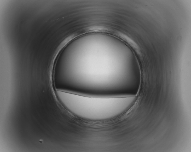 X0000100321330200806051342