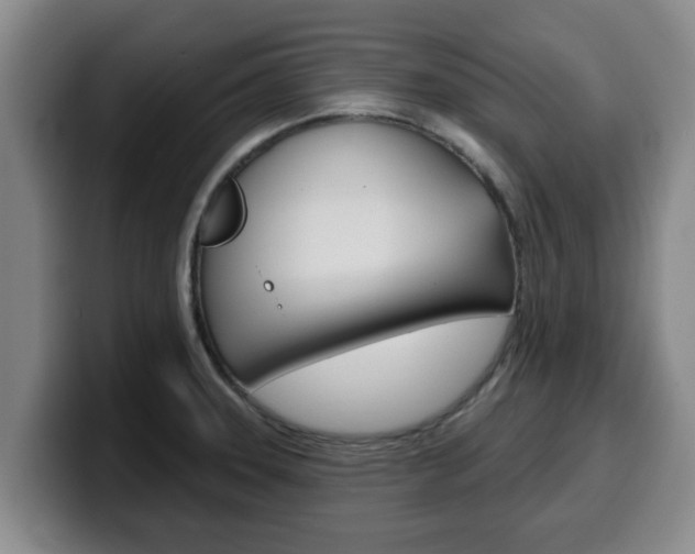 X0000100321331200806051342