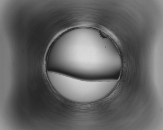 X0000100321332200806051342