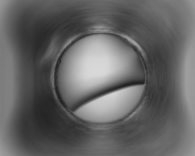 X0000100321333200806051342