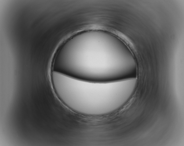 X0000100321334200806051342