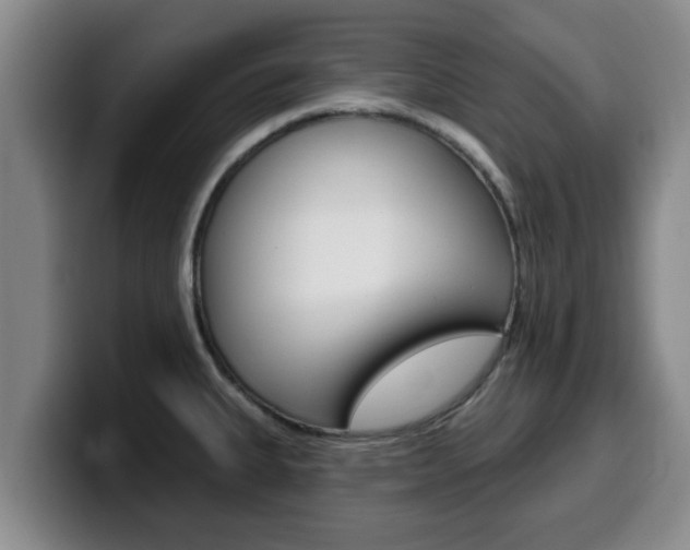 X0000100321335200806051342