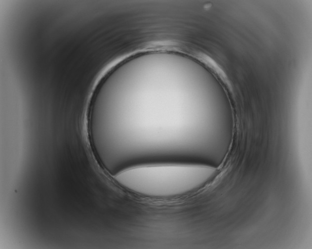 X0000100321336200806051342