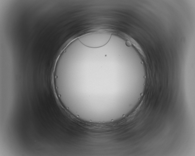 X0000100321338200806051342
