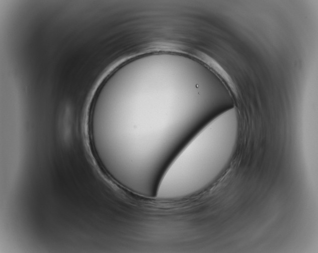 X0000100321339200806051342