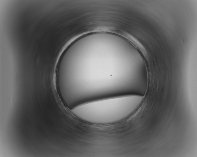 X0000100321340200806051342