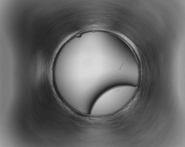 X0000100321341200806051342