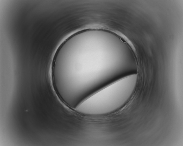 X0000100321343200806051342