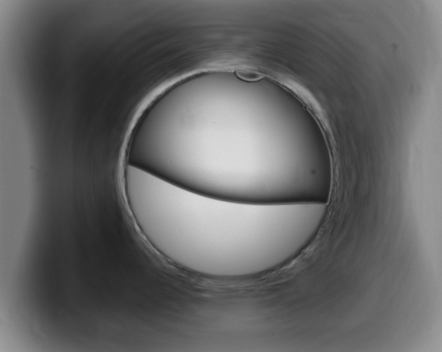 X0000100321344200806051342