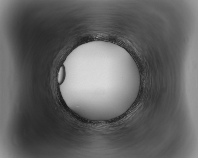 X0000100321345200806051341