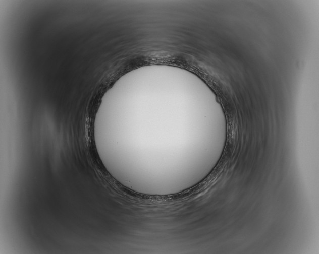 X0000100321346200806051341