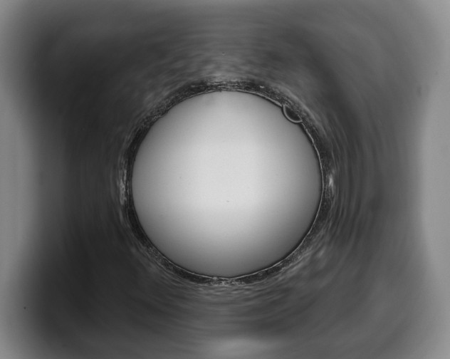 X0000100321348200806051341