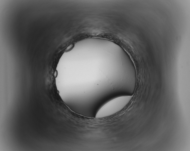 X0000100321349200806051341