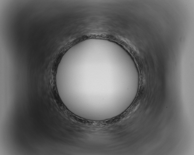 X0000100321350200806051341