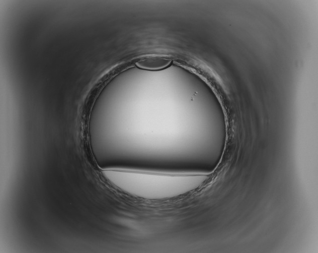 X0000100321352200806051341