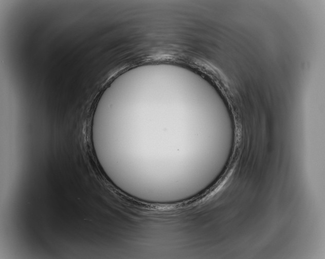 X0000100321353200806051341