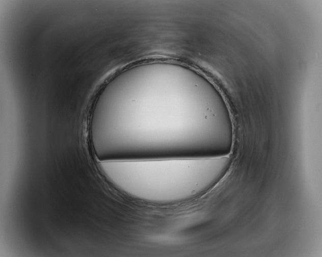 X0000100321355200806051341