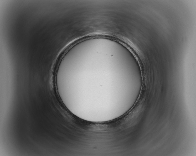 X0000100321356200806051341