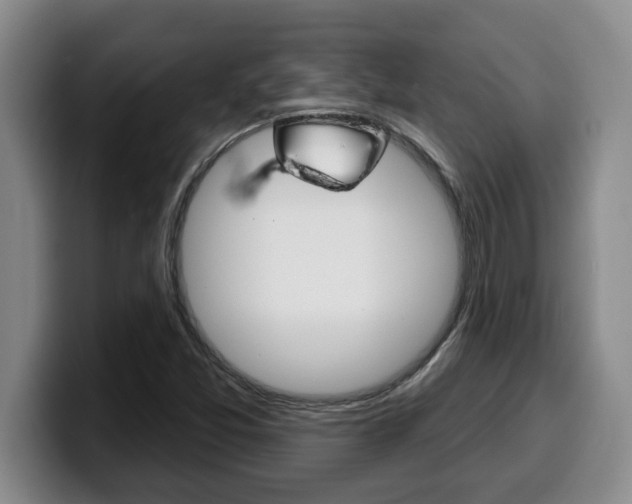 X0000100321357200806051341
