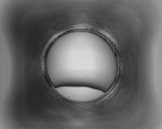X0000100321358200806051341