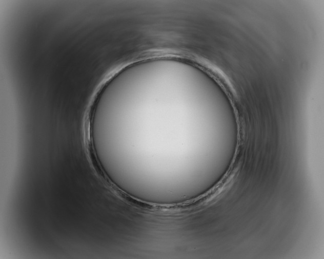 X0000100321365200806051341