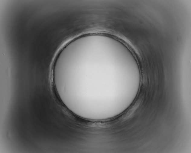 X0000100321366200806051341