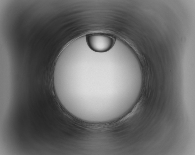 X0000100321369200806051341