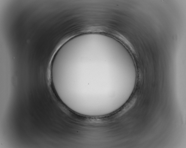 X0000100321370200806051341