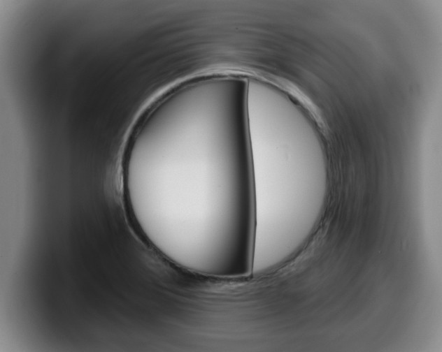 X0000100321372200806051341