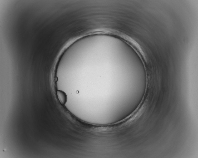 X0000100321373200806051341