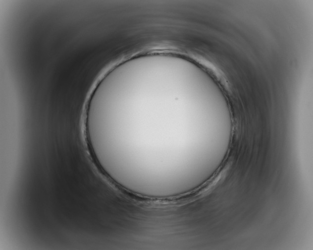 X0000100321374200806051341