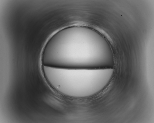 X0000100321375200806051341