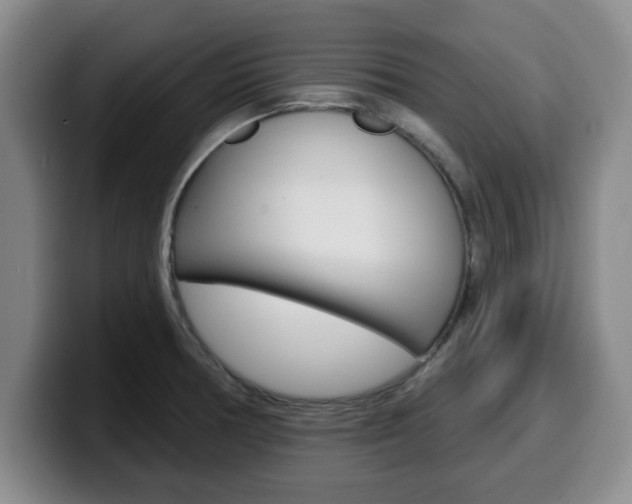 X0000100321378200806051341