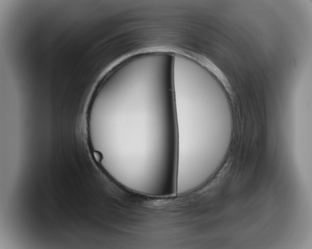 X0000100321380200806051340