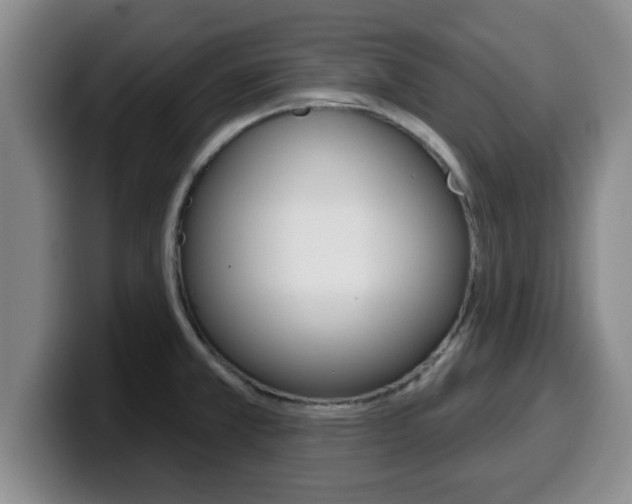 X0000100321381200806051340